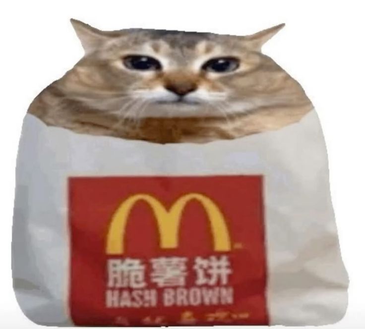Mei Mei meme